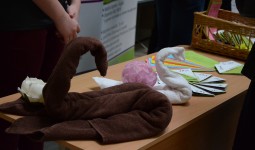 Jēkabpils Agrobiznesa koledžas audzēkņu un studentu pašpārvaldes jaunieši karjeras un izglītības izaugsmes dienā “Atver durvis nākotnei”