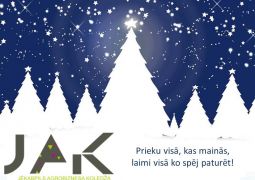 Gaišus un mierpilnus svētkus!