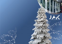Skaistus, saticīgus, mierpilnus Ziemassvētkus!
