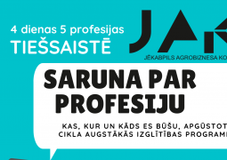 Saruna par profesiju!