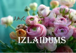 Izlaidums 2022